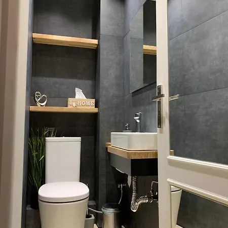 Central Apartment